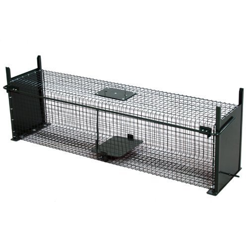 Moorland Safe 5007 extra große Lebendfalle 100x25x25 cm als Marderfallen lebend fangen, Ratten Falle, Katzenfalle mit 2 Eingängen* Affiliatelink